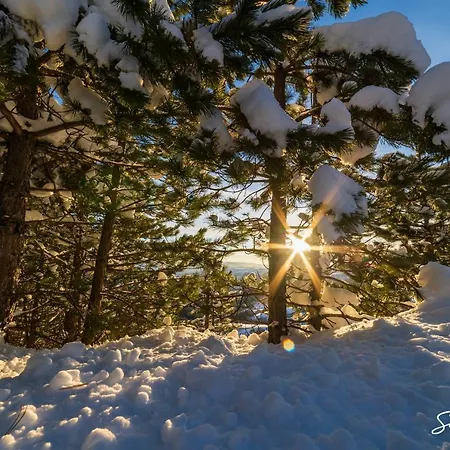 Buzzstays - Spa & Wellness - Privately Managed * Zlatibor