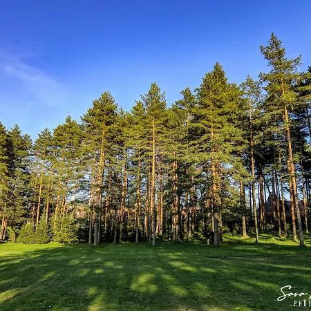 Appartamento Buzzstays - Spa & Wellness - Privately Managed Zlatibor