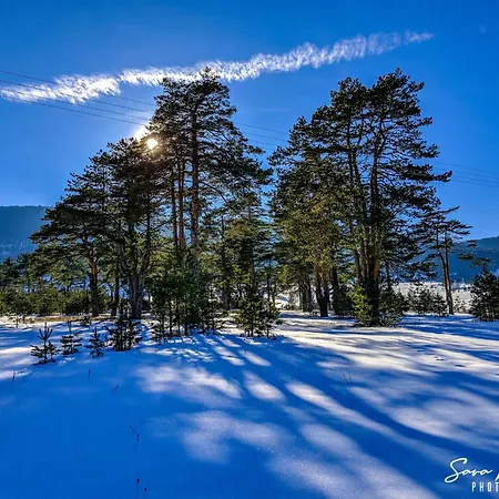 Buzzstays - Spa & Wellness - Privately Managed Zlatibor